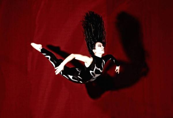 Photograph Francesca Benedetti Fly on One Eyeland